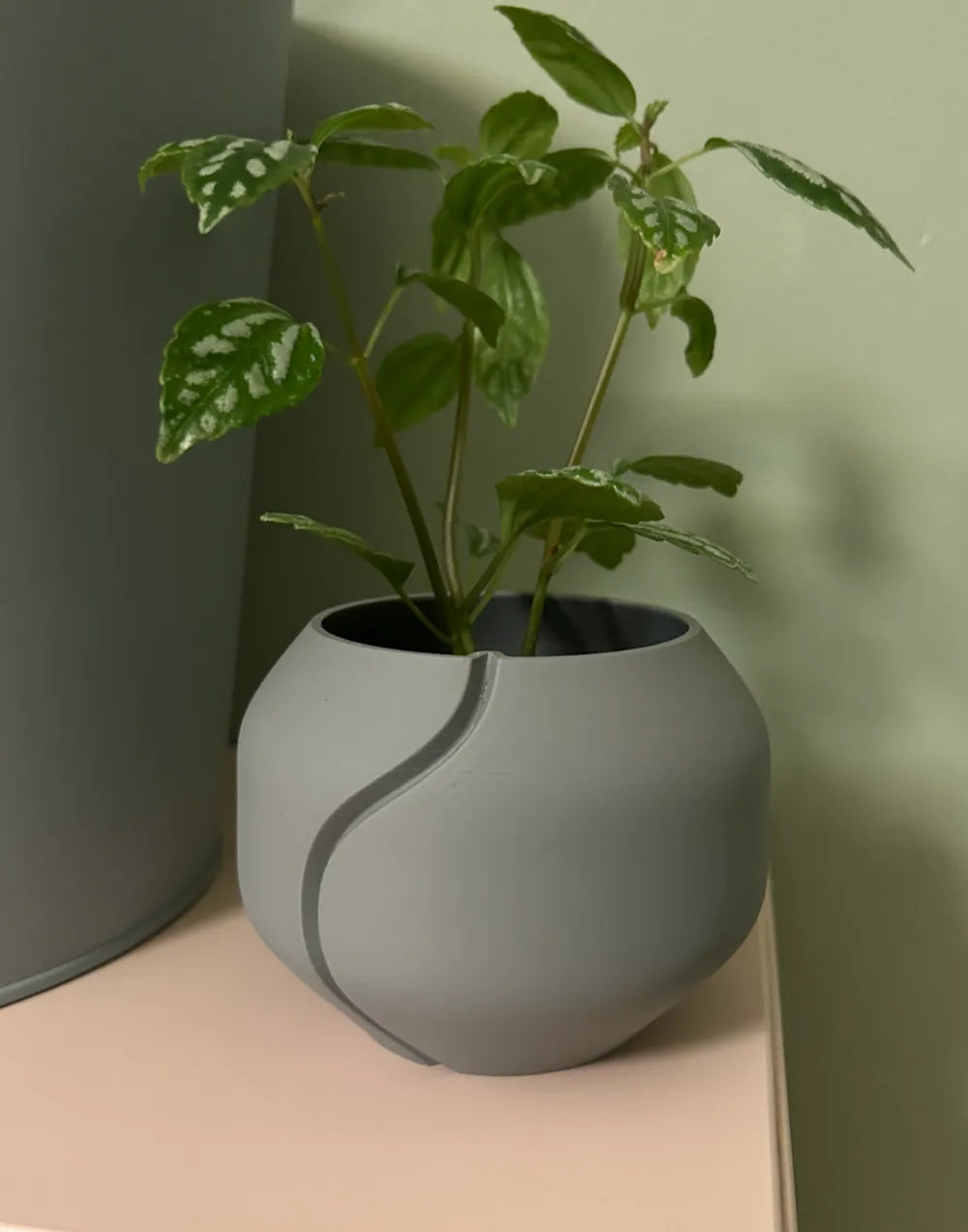 Vase "Solis" — L'Équilibre Fluide
