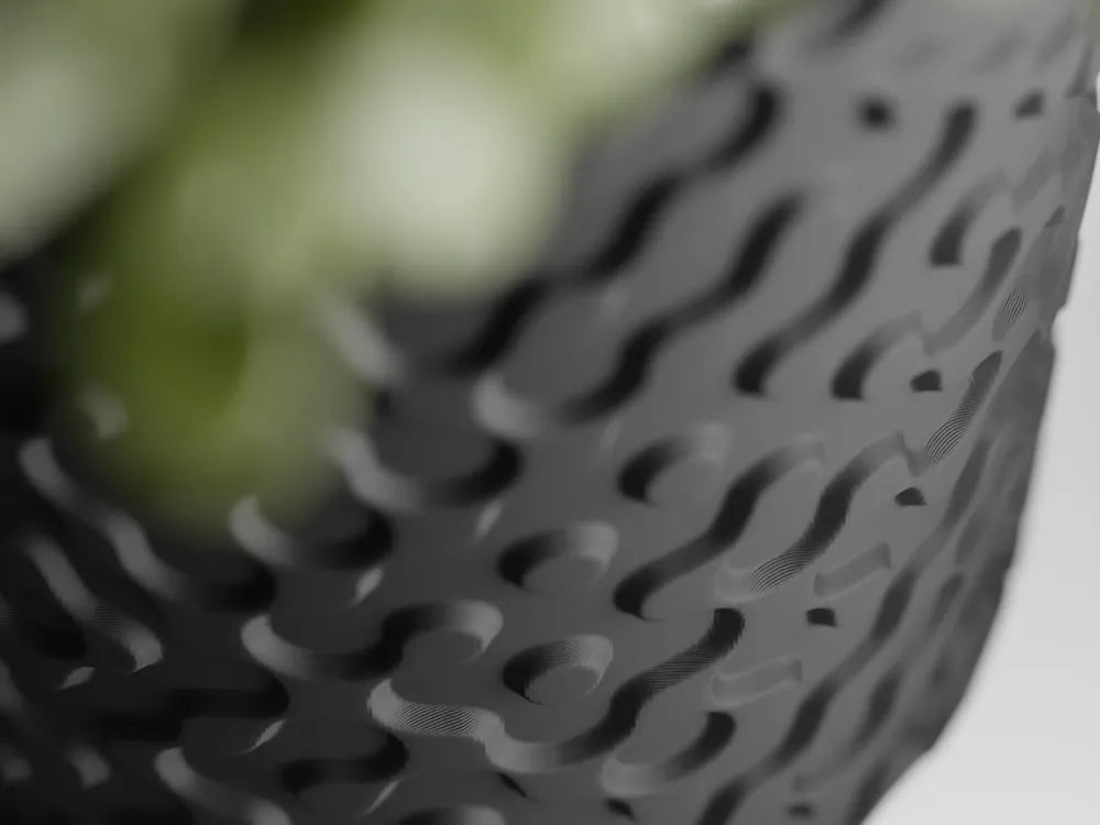 Zenith-Face