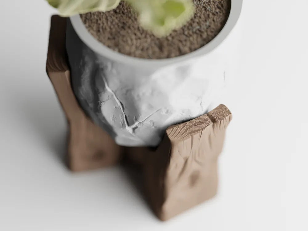 Le "Grotia" — L'Essence de la Nature