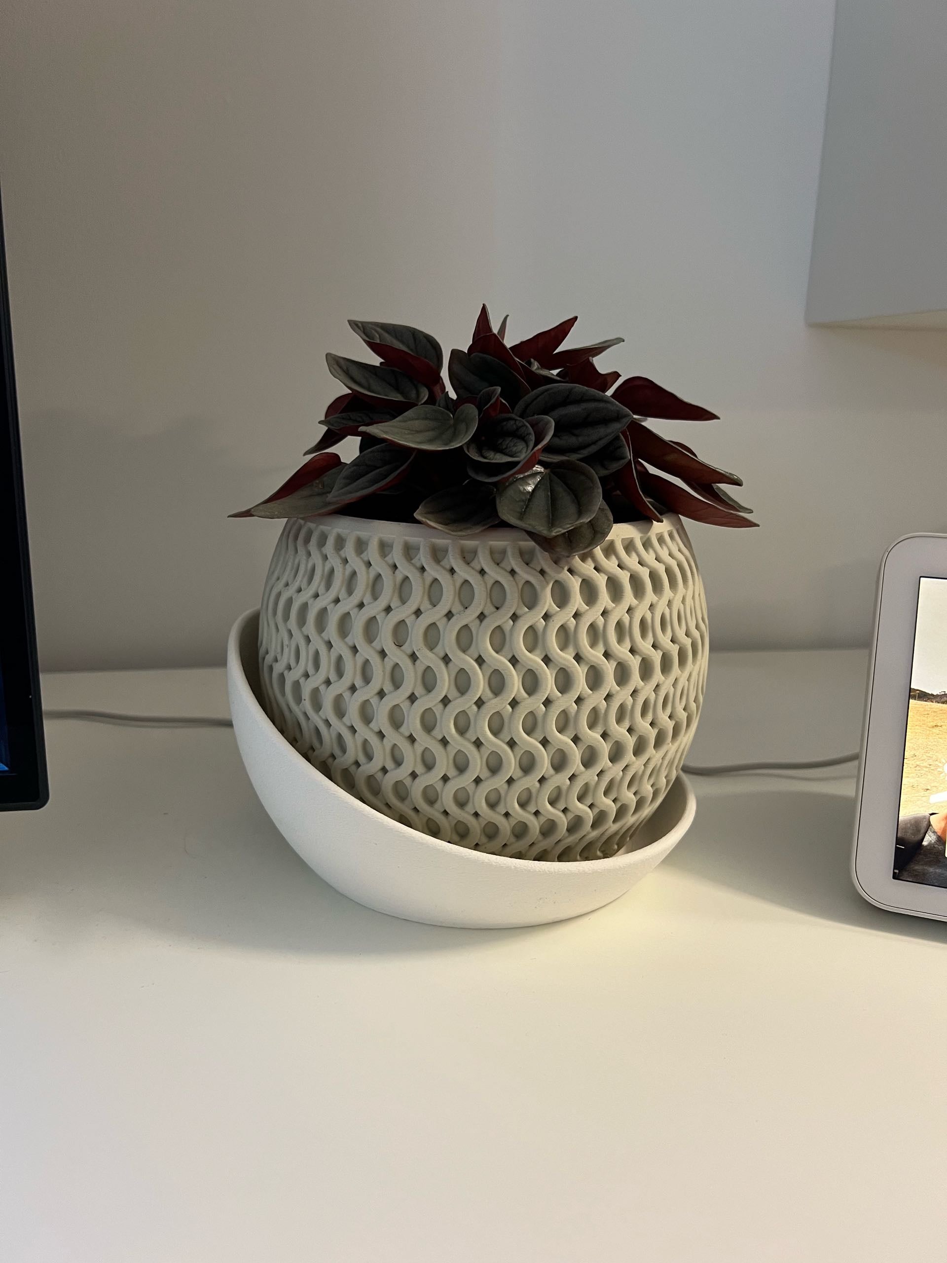 Le "Echo Planter" — Dualité Organique
