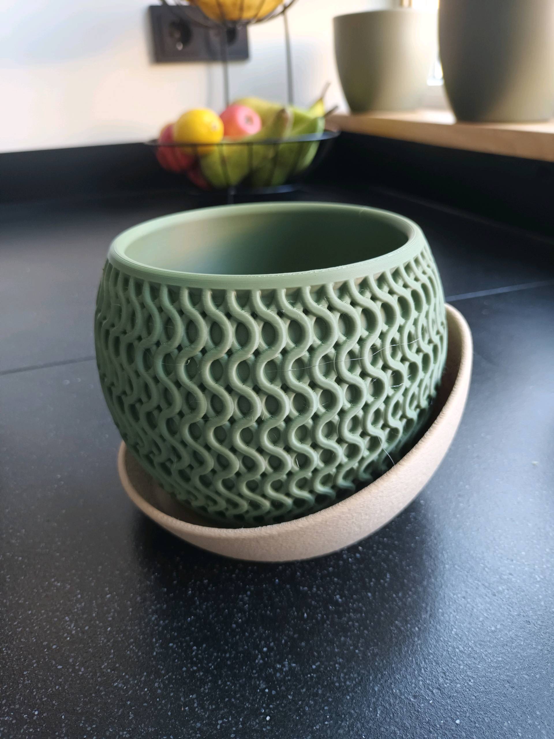 Le "Echo Planter" — Dualité Organique