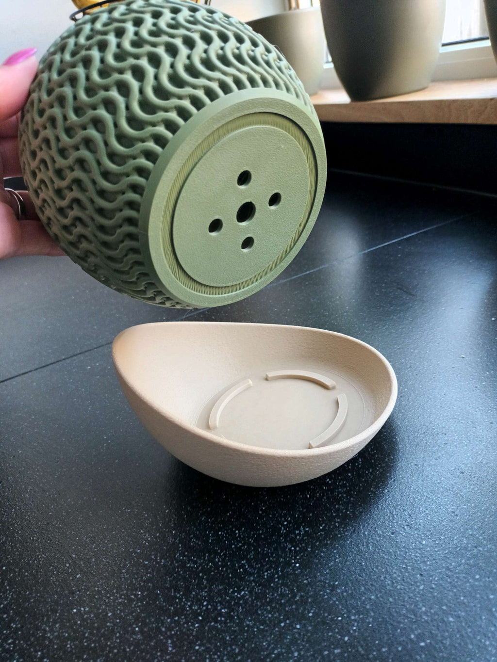 Le "Echo Planter" — Dualité Organique