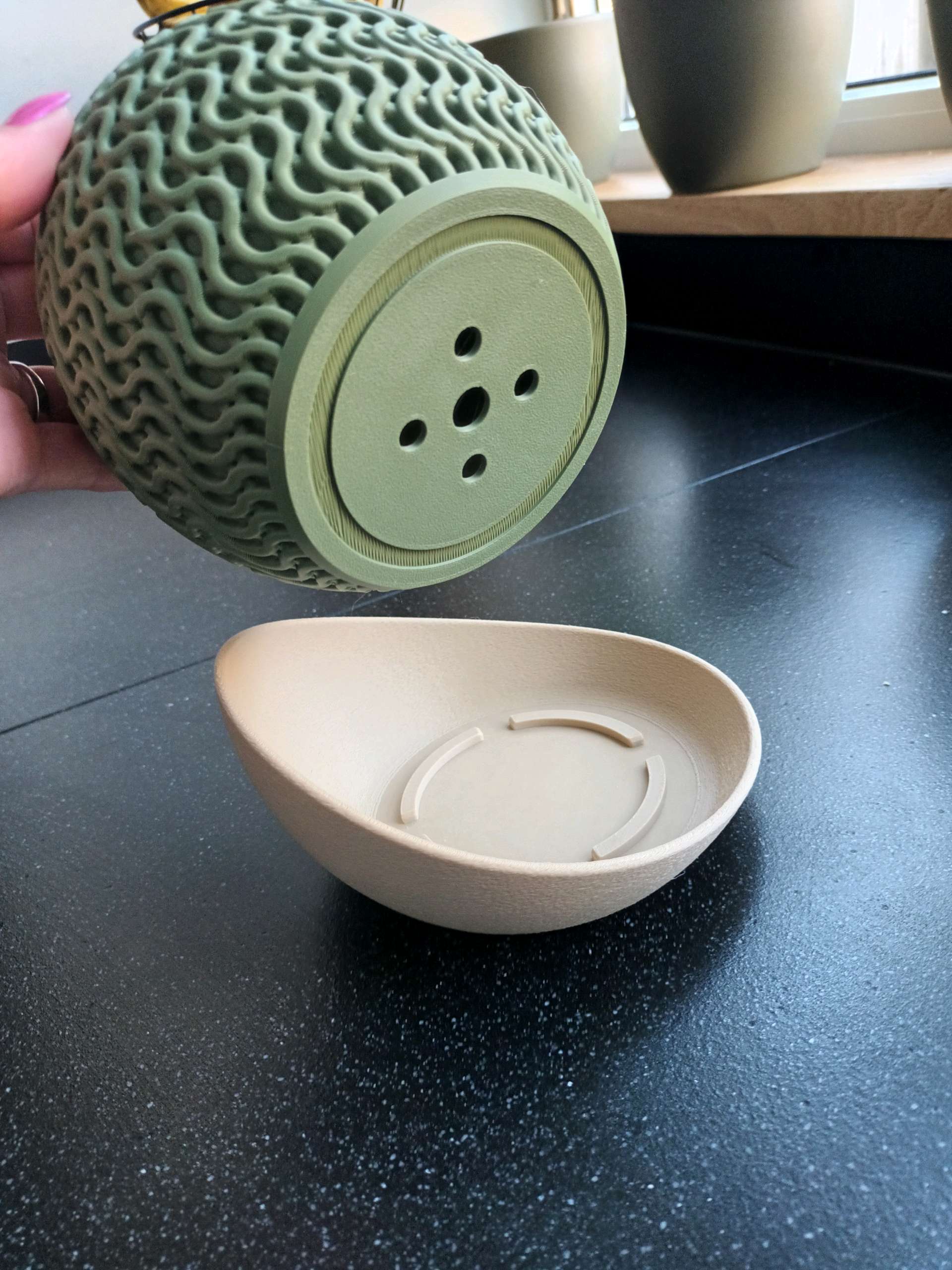 Le "Echo Planter" — Dualité Organique
