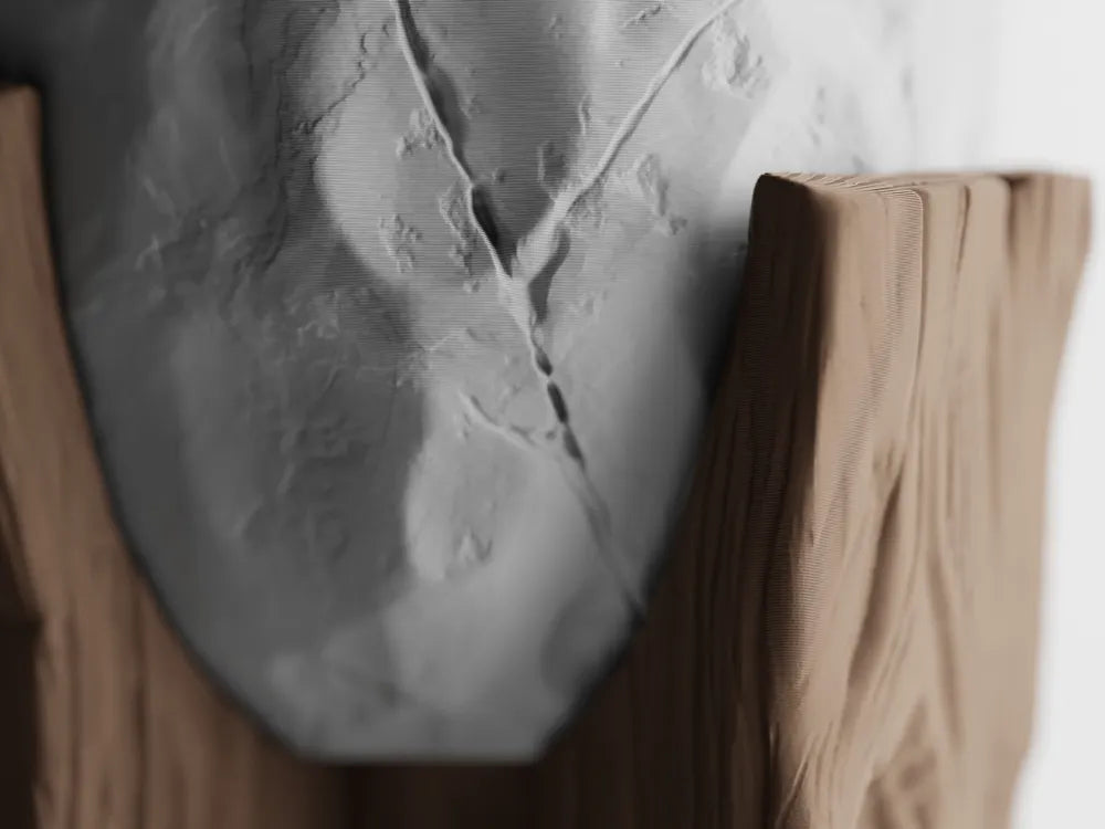 Le "Grotia" — L'Essence de la Nature