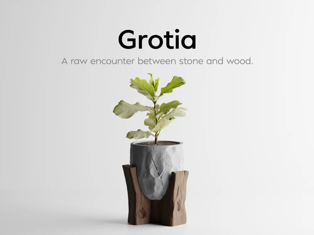 Le "Grotia" — L'Essence de la Nature