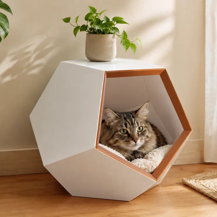 Table de Chevet pour chat