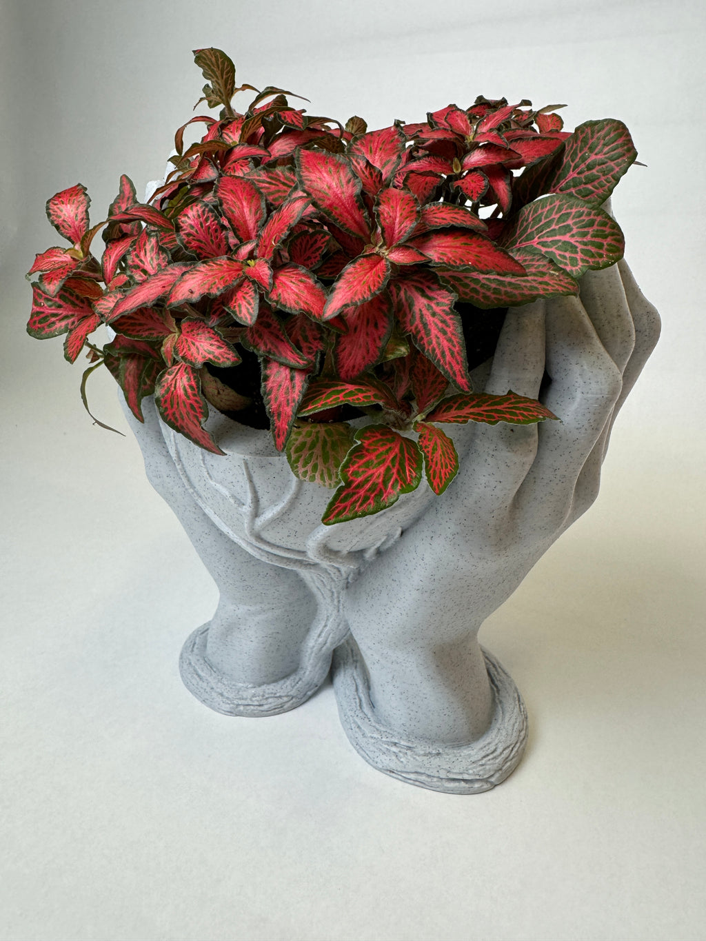 Vase "Solis" — L'Équilibre Fluide
